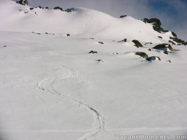 Top to Bottom Basin - The quality snow provided a loooong fall line ski