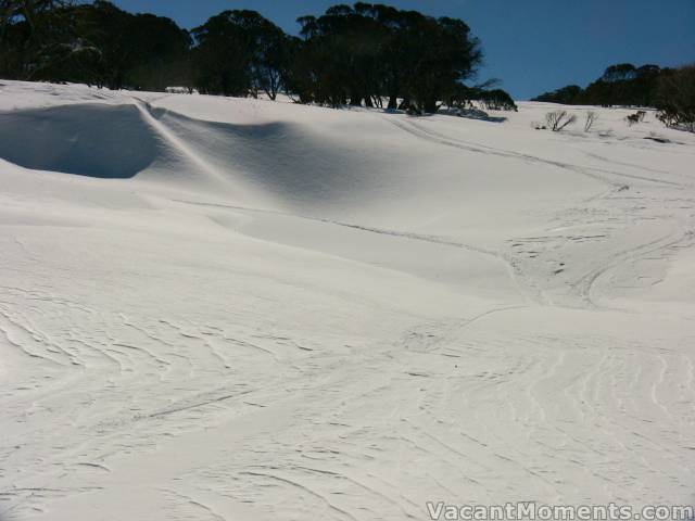 Above Bogong was firm - Friday