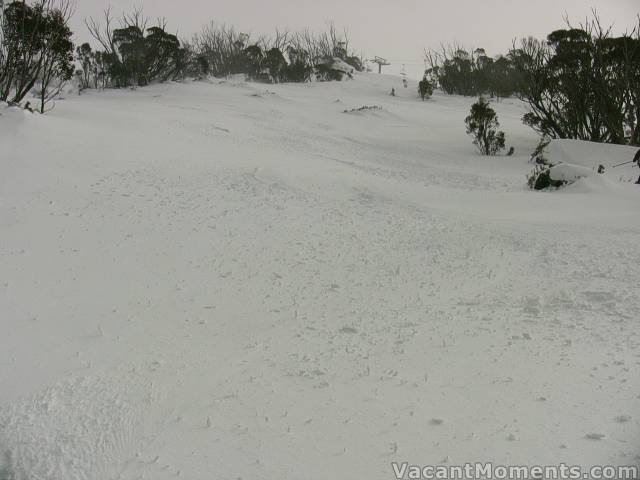 Mondays murk left us with creamy, damp snow and wet 