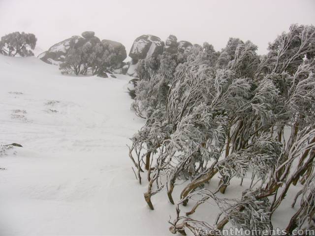 Karels today - a little foggy