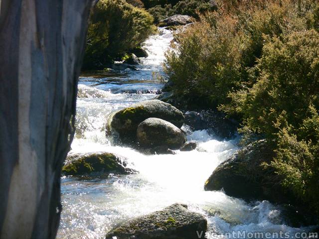 Rising water levels on Bogong Creek at Dead Horse Gap - Monday