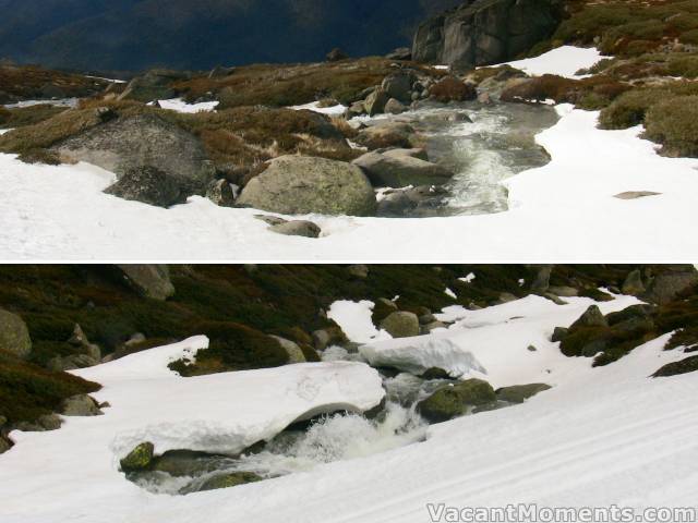 Merritts' Creek opening up all over