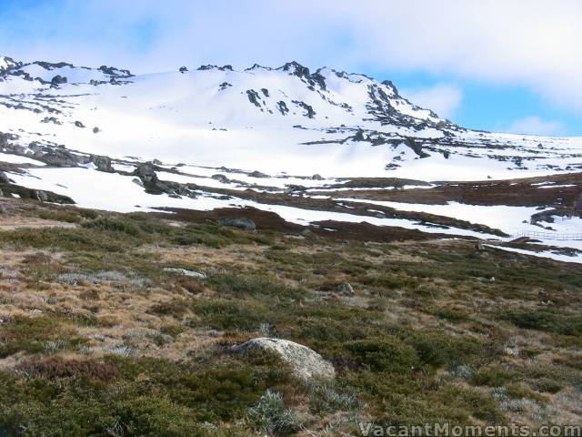 Grass leading out to Signature Hill on Friday