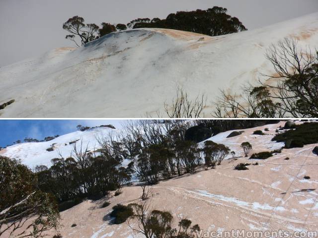 Rust on the Bluff and Kareela Face