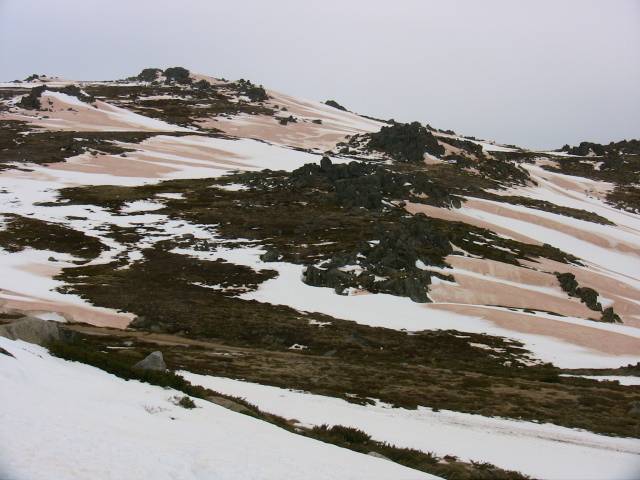 North of the Basin on Friday