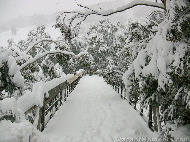 The foot bridge this morning