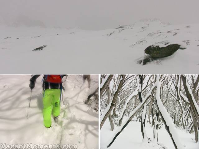 The white room beyond Golf Course Bowl<BR>Deep snow even below the tree line