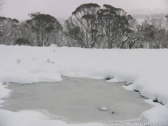 Anyone for a little ice-skating?