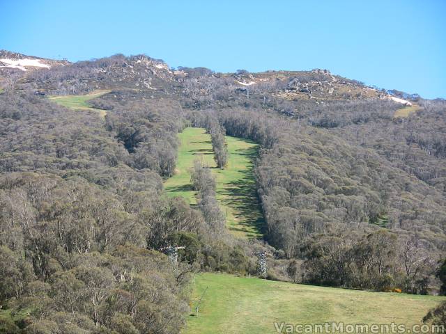 High Noon - it's all very green