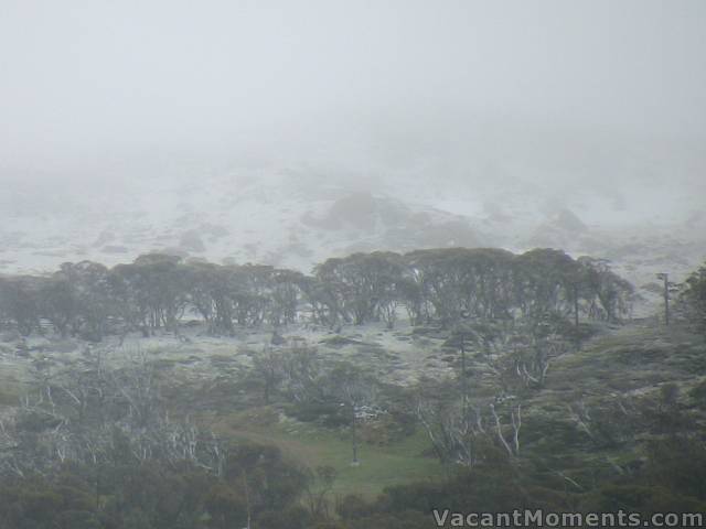 December 1st and fresh snow for the start of Summer