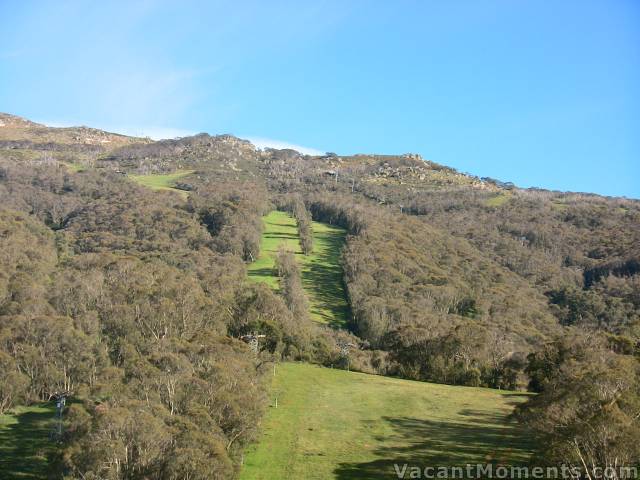 High Noon and Sundance this morning - oh so green