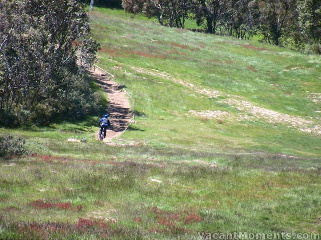 Lush slopes of Crackenback