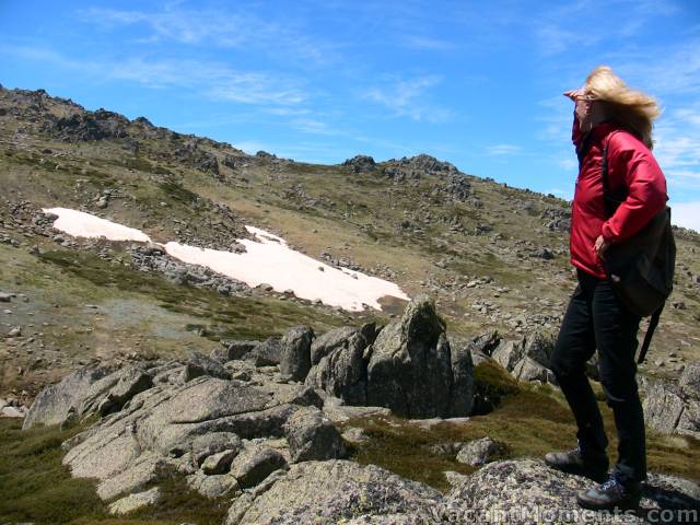 Marion surveying the remains of Summer Drift