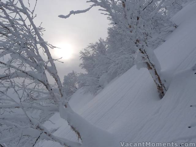 And of course there's the off piste skiing<br>Photo care of Rosco. We're not jealous are we?