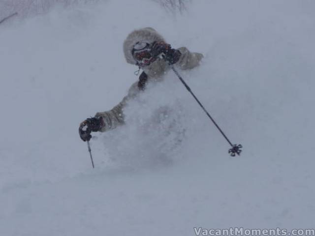 Classic Niseko powder