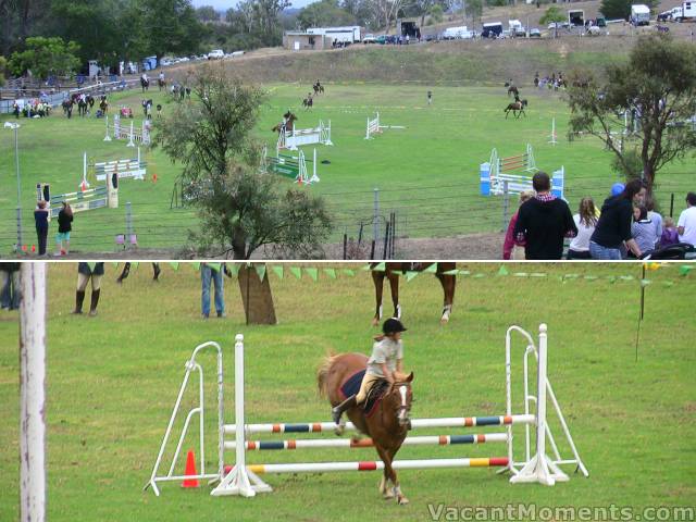 The very green green at Candelo showground