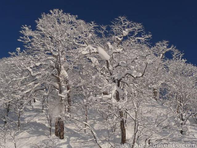 Super Run, Hirafu