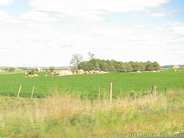 Contrast of the lush, green Monaro