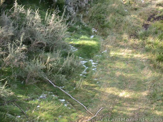 This is the snow just above mid-station  in its natural lie, I suspect