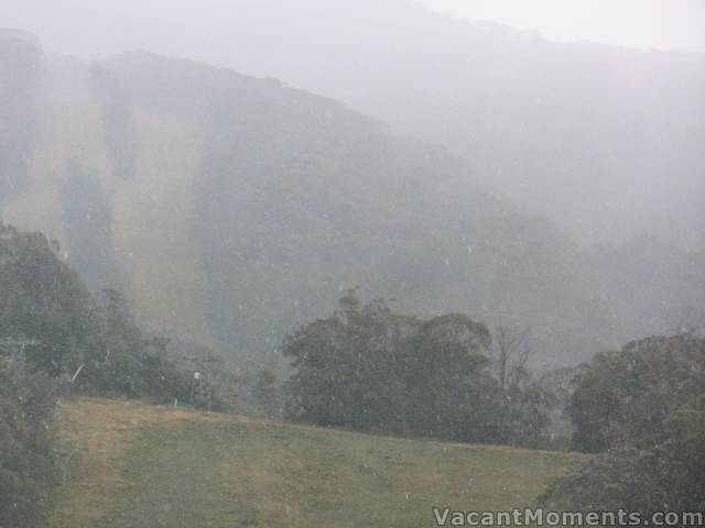 Snowflakes falling to the village yesterday