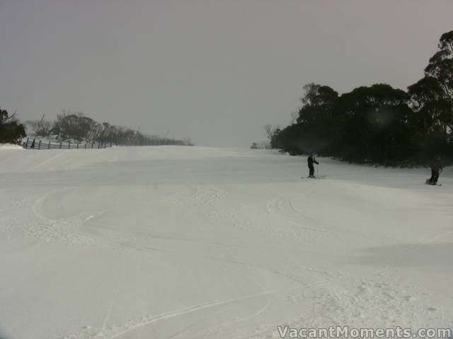 Looking up Supertrail on Saturday morning