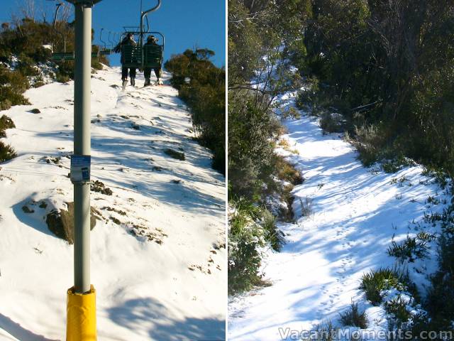 Above Cat Track today - Bunny Walk