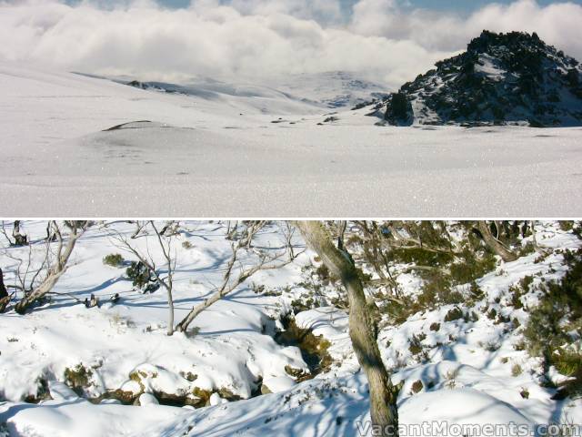 Contrast between the main range above tree line and open creeks below tree line