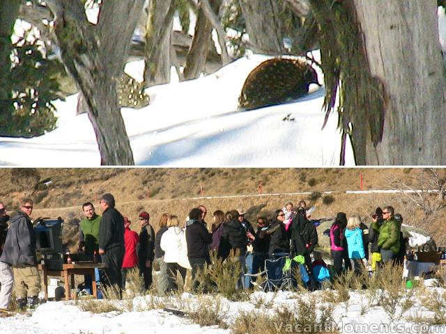 An echidna in the quiet woods<br>Baz's bash at Dead Horse Gap