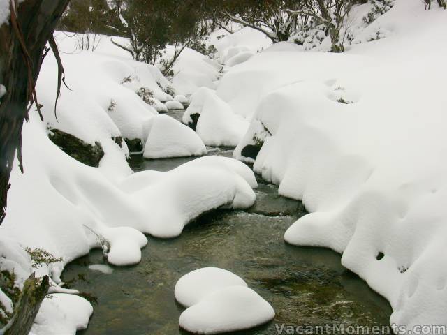 Bogong Creek filling in