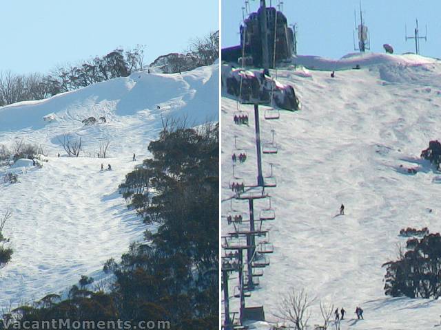 Grooming on FunnelWeb and under Kosi chair returning to bumps by midday