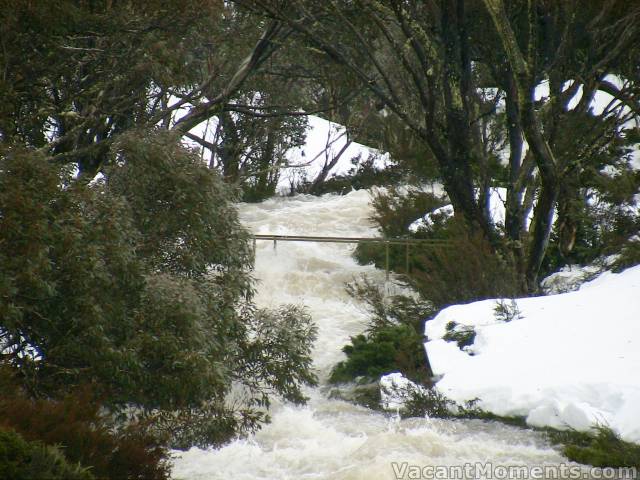 The DHG walking bridge over Bogong Creek<BR>from which so many photos are taken in my reports