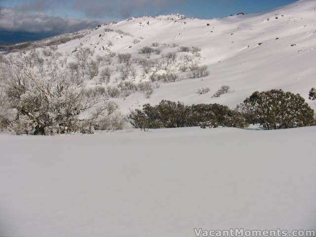 Skier's left of upper Bogong Creek and it's all mine