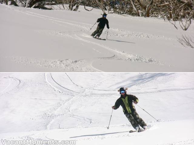 Jax at top of treeline and bottom of DHG