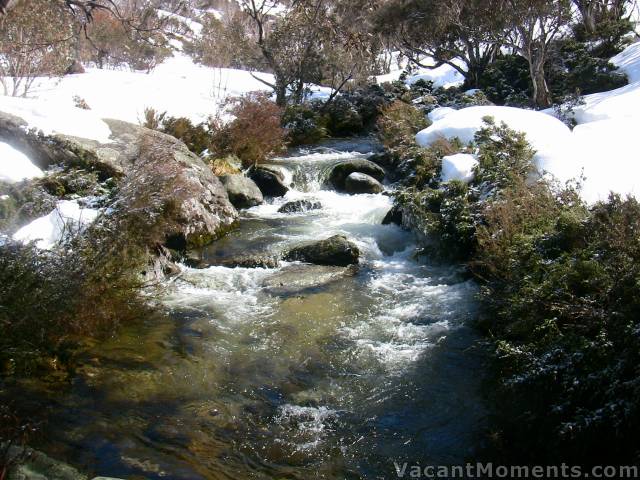 Bogong Creek <BR><a href=http://www.ciau.com.au/snow/rrhist3.asp?rrid=557>compare to my August 29th photo</a>