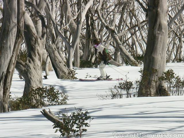 Jenny in the trees on her first DHG run last Friday