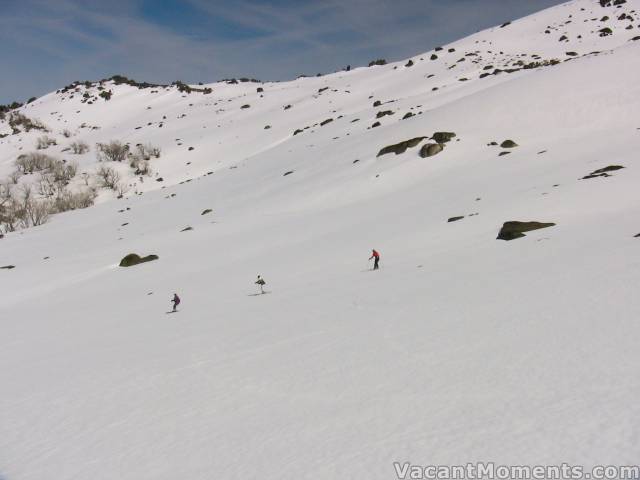 West side of Bogong Creek