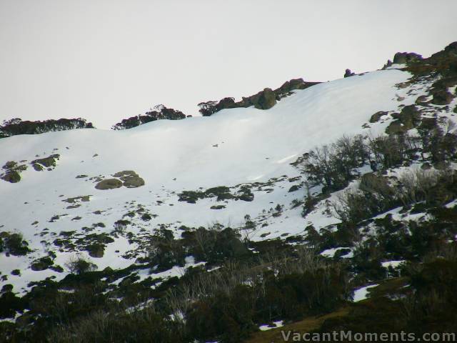 The Bluff looks delicious but it's a no-go (no ski) zone :-(