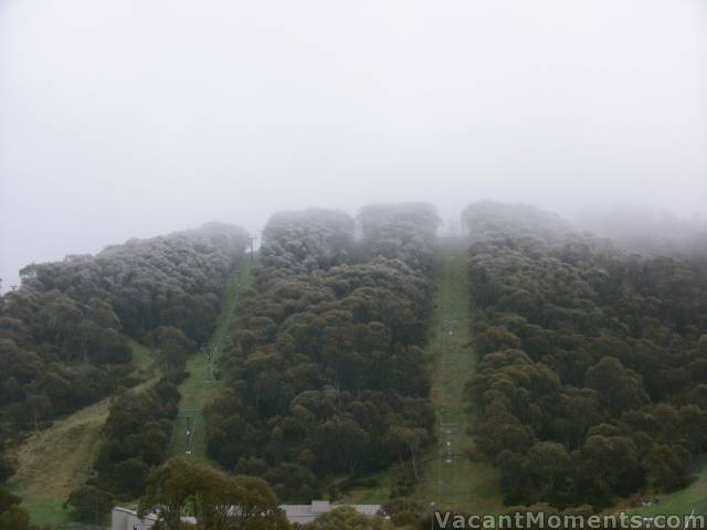 This morning's snowfall to below the Lovers Leap cat sheds