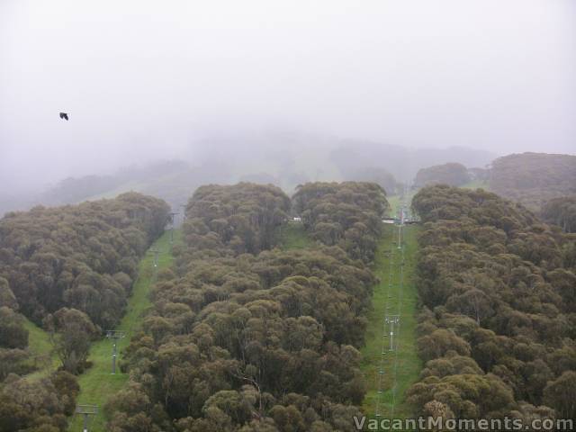 Kosi chair and Snowgums chair in the mist and rain