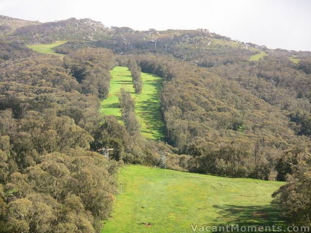 How green is the valley?