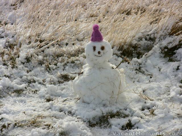 First snowman for 2011