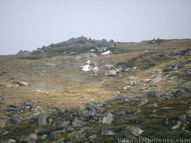 Patches of snow on Karels last Thursday