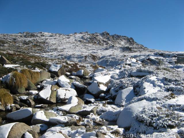 Sig Hill yesterday taken by Ray after a good climb up from Snowgums