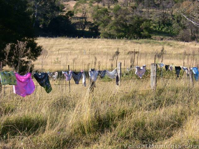 Hanging out the washing<BR>or may be the mannequins' panties