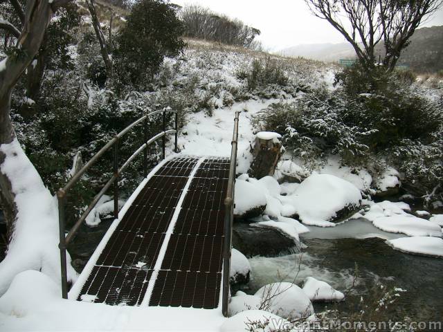 The bridge over Bogong waters