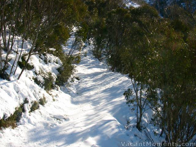 BunnyWalk viewed from Snowgums chair yesterday