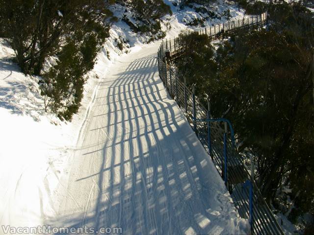 Looking up the Cat Track from Snowgums