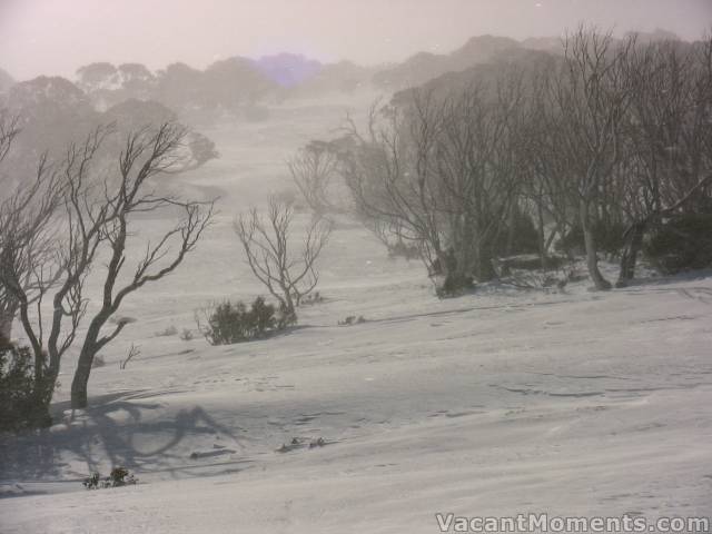 Howling winds in and out of resort area