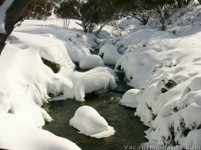 Bogong Creek on Saturday