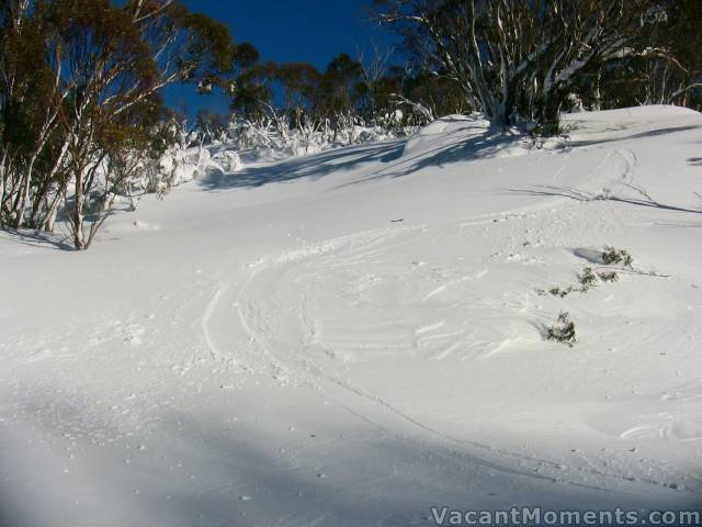 Drop into Bunny Walk yesterday